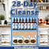 Dr. Foster's Essentials 28-Day Healing Program instructions