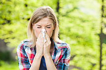 Essential Oils For Hayfever