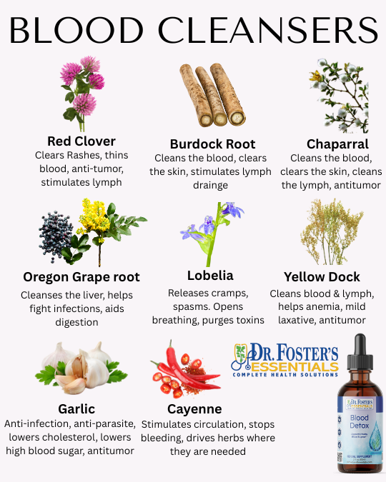 Alterative Herbs That Cleanse the Blood and Lymph