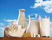 Processed Dairy Products