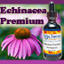 Dr. Foster's Echinacea Premium Instructions