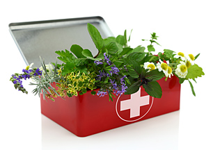 Herbal First Aid Kit