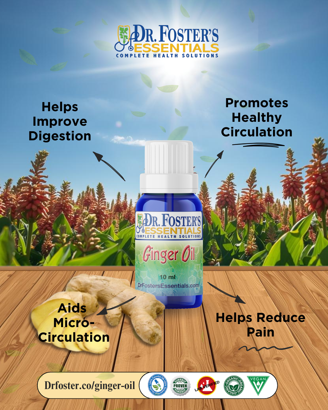 The Benefits of Ginger Essential Oil