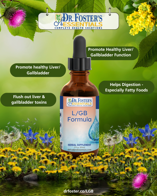 Bitter Herbs that Help Digestion