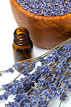 Lavender Essential Oil