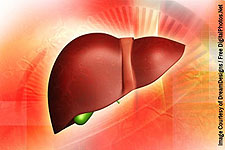 The Amazing Self-Regenerating Liver