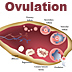 Polycystic Ovaries, PCOS