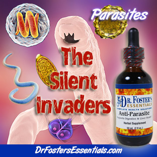 natural parasite cleanse designed by holistic MD
