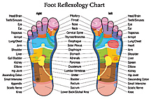 Reflexology Zones on Foot