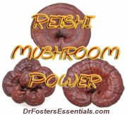 Reishi Mushroom - One of Nature's Best Immune Tonics