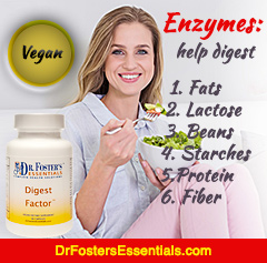 Vegan Digestive Enzymes