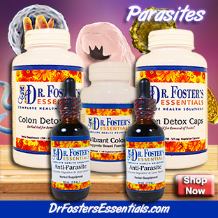 Parasite Cleanse Kit designed by holistic MD