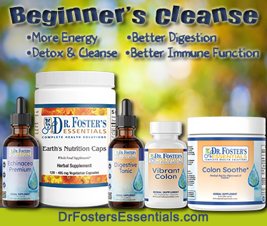 Beginners Program