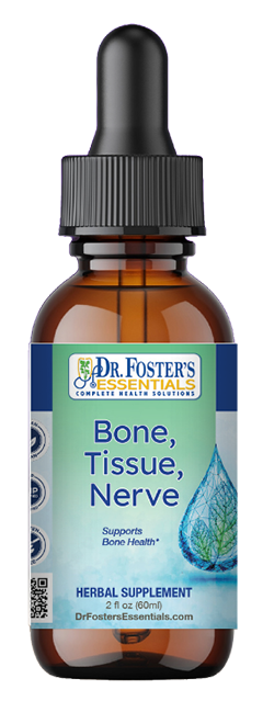 BoneTissueNerveMockup-2point5in.png