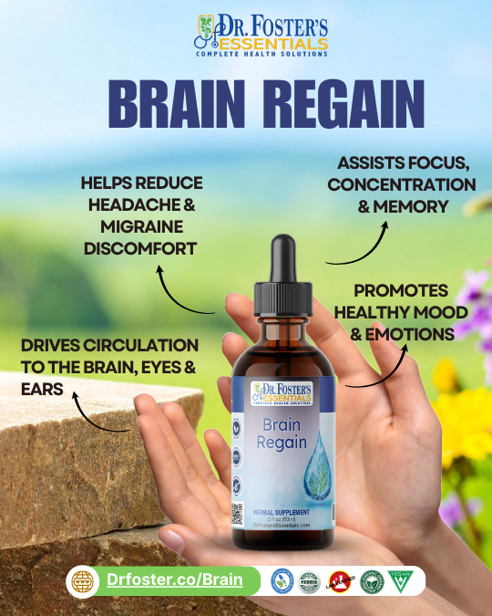 Brain Regain