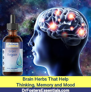 Brain Regain