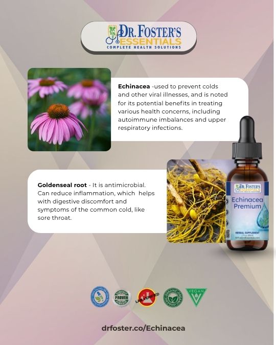 Echinacea Premium Formula