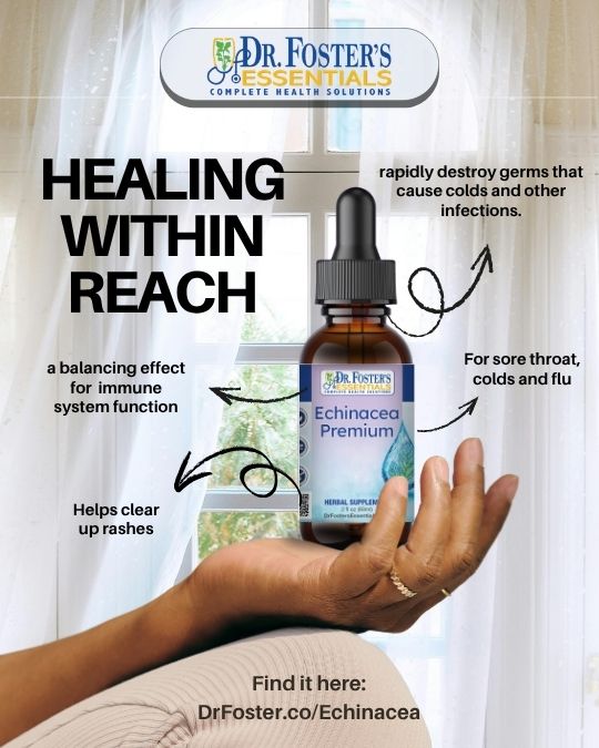 Echinacea Premium Formula
