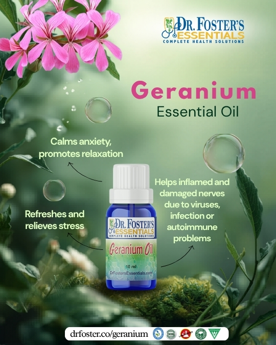 Geranium Essential Oil