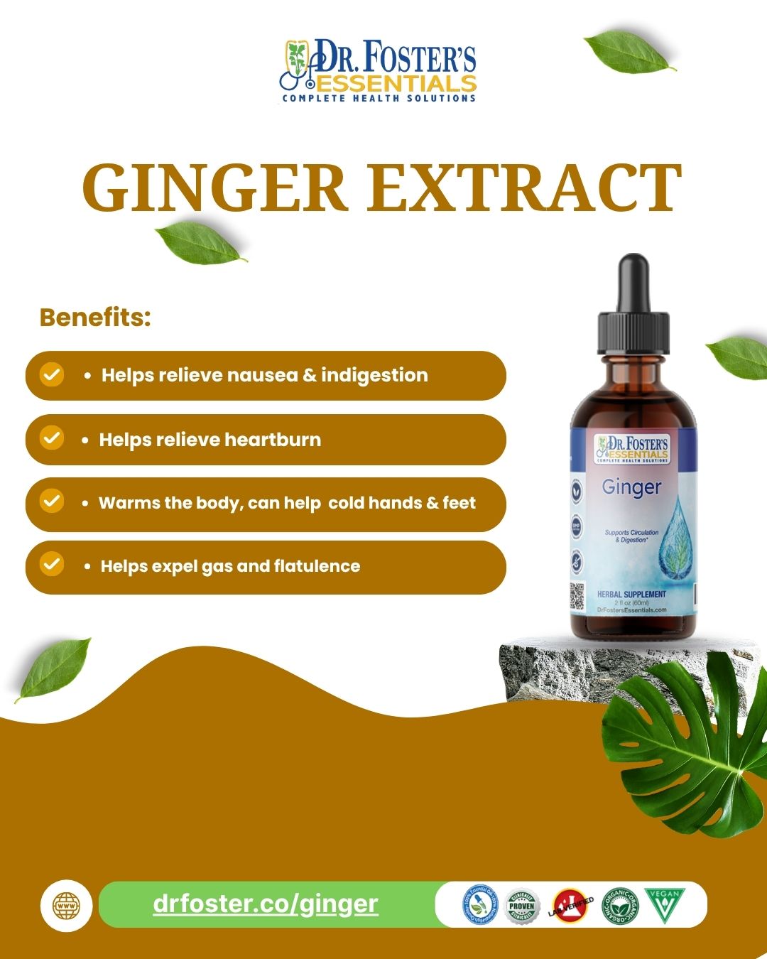 Ginger - Liquid Extract
