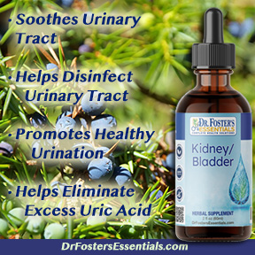 Kidney/ Bladder Formula