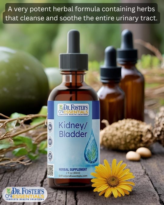 Kidney/ Bladder Formula
