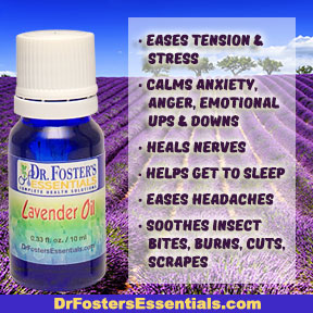 Lavender Essential Oil 