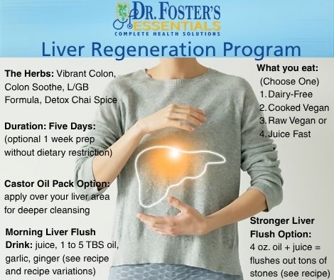 Liver 1 (Liver Regeneration Program)