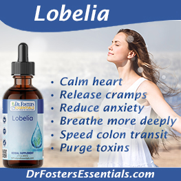 Lobelia Tincture