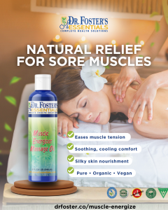 Olfactory System and Essential Oils