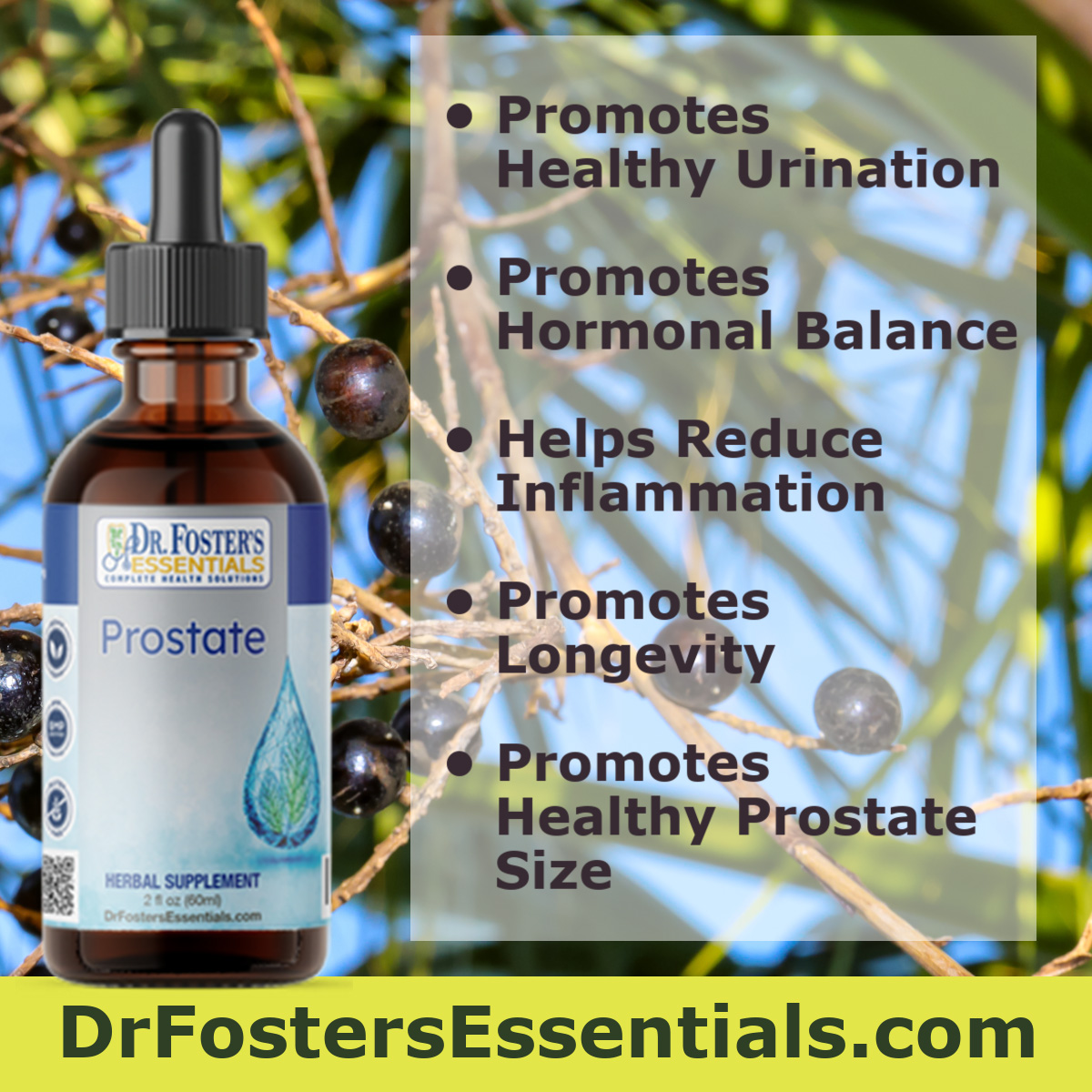 Prostate Formula