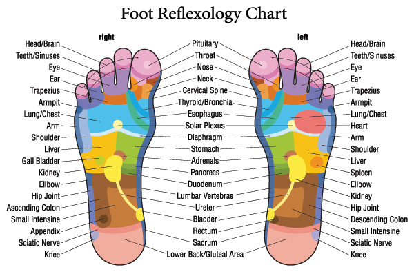 Dr. Foster's Essentials Reflexology Zones on Foot