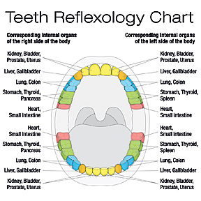 Tooth & Gum Formula