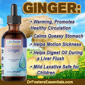 Ginger - Liquid Extract